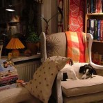 dekoratif-kitap-okuma-kosesi-9