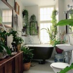 banyo_bitkileri_2