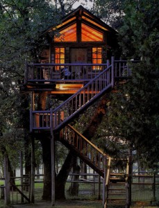 dekoratif-agac-ev-amazing-tree-houses