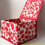 kırmızı dekoratif kutu box