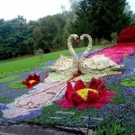 bahçe dekorasyon fikirleri