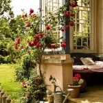 bahçe ve balkon fikirleri