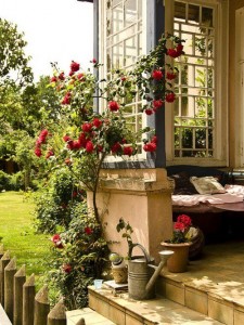 bahçe ve balkon fikirleri