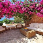 modern bahçe dekorasyonları