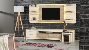 plazma ünite modeli