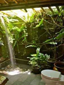 bahçede banyo yeşil bitki dekor