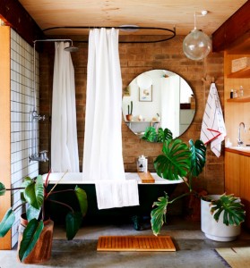 sicak-tonlu-banyo-monstera-bitki-cicek